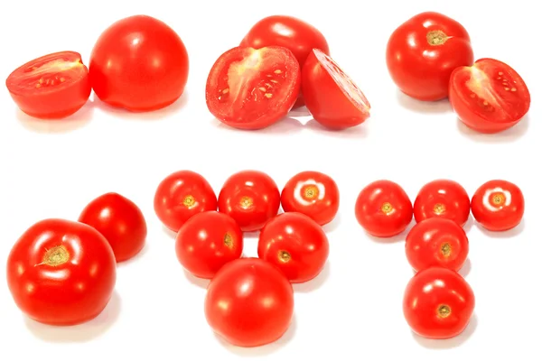 红色西红柿，白色底色 — 图库照片
