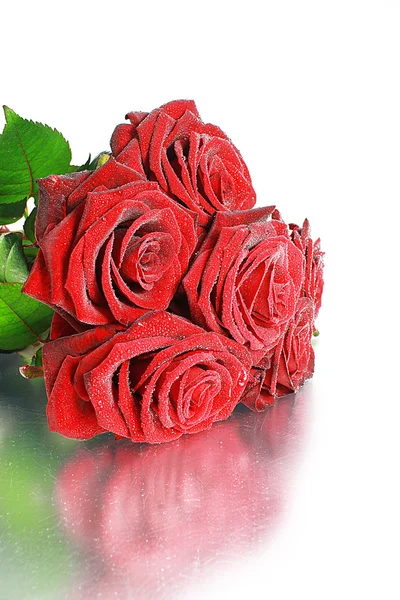 Roses rouges sur blanc Images De Stock Libres De Droits