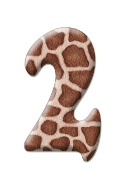 şekil leopar soyutlama