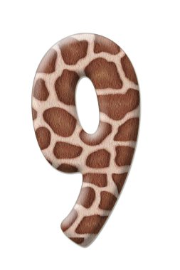 şekil leopar soyutlama