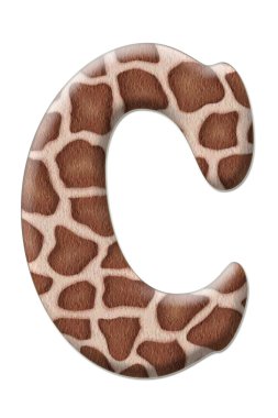 leopar mektup soyutlama