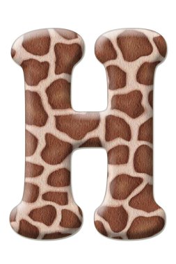 leopar mektup soyutlama