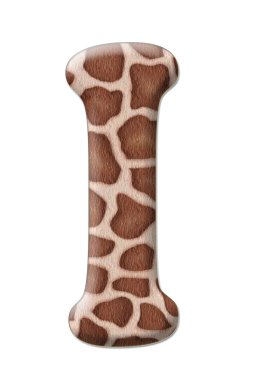 leopar mektup soyutlama