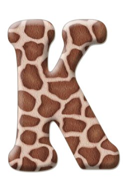 leopar mektup soyutlama