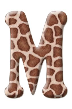 leopar mektup soyutlama