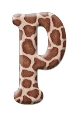 leopar mektup soyutlama