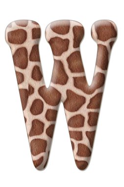 leopar mektup soyutlama