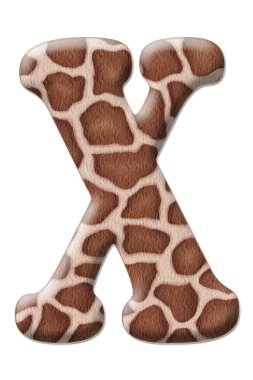 leopar mektup soyutlama