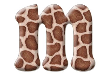 leopar mektup soyutlama