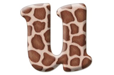 leopar mektup soyutlama