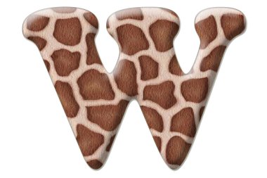 leopar mektup soyutlama