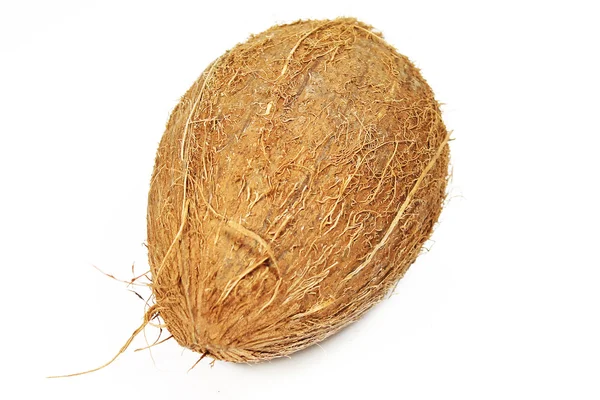 Coconut isolated — Stock Photo, Image
