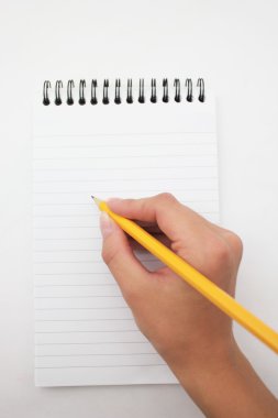 kadın eli bir defterde kalemle yazma