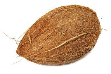 izole Hindistan cevizi
