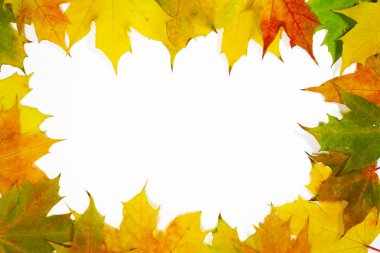 yapraklı sonbahar çerçevesi