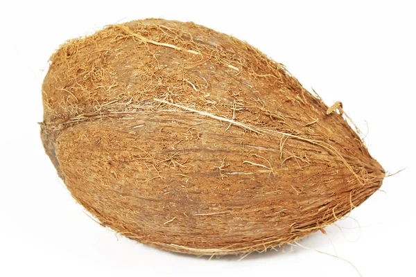 Coconut isolated — Stock Photo, Image