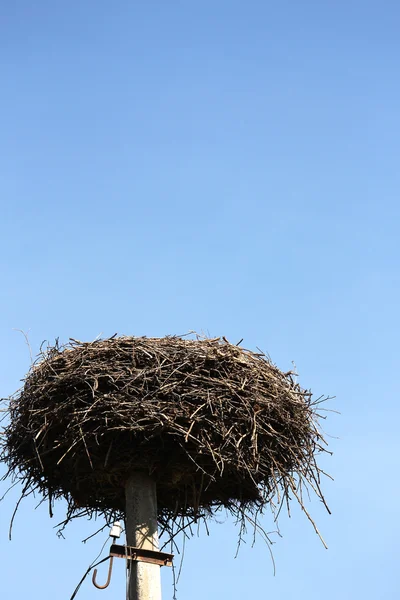 Storchennest vor blauem Himmel — Stockfoto