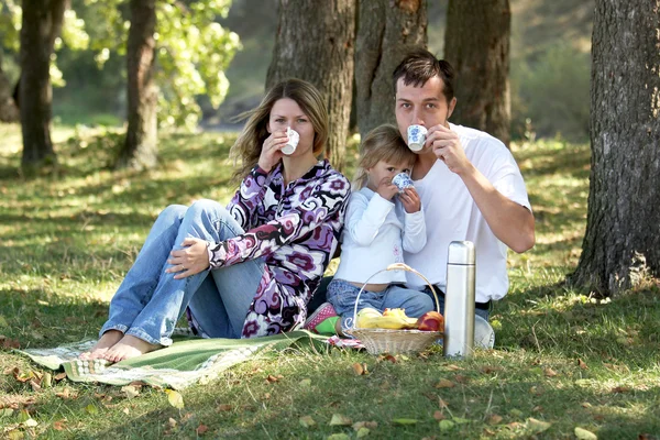 Familie beim Picknick — Stockfoto