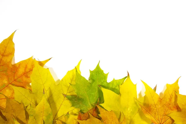 Осенняя рамка с листьями — стоковое фото