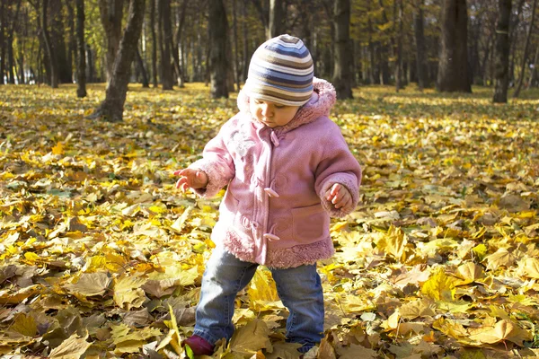 Piękna dziewczynka jesień Park — Zdjęcie stockowe
