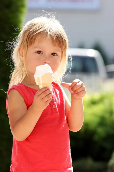 A fagylalt gida — Stock Fotó