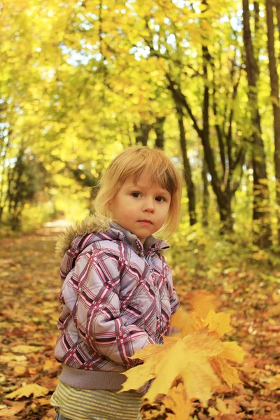 Ένα όμορφο κοριτσάκι στο πάρκο φθινόπωρο — Φωτογραφία Αρχείου