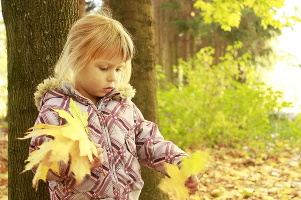 En vacker liten flicka i höst park — Stockfoto