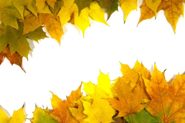 Herfst frame met bladeren — Stockfoto