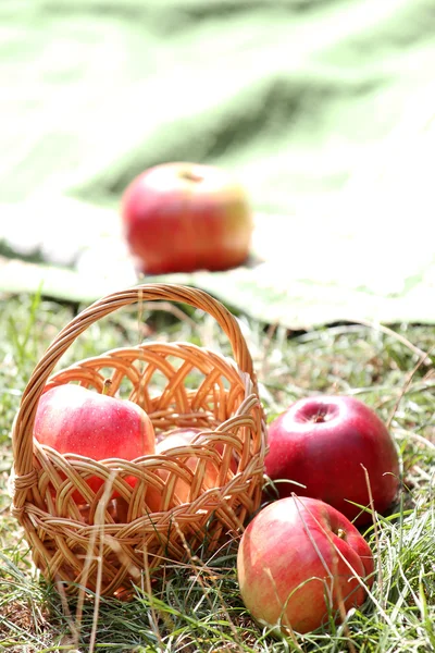 Fruta al aire libre en el picnic — Foto de Stock