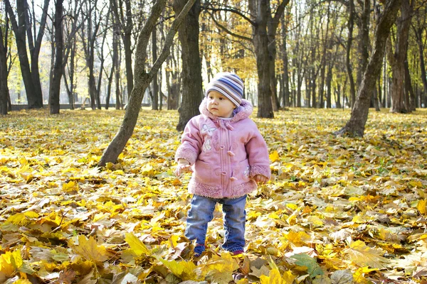 Őszi park, egy gyönyörű kislány — Stock Fotó