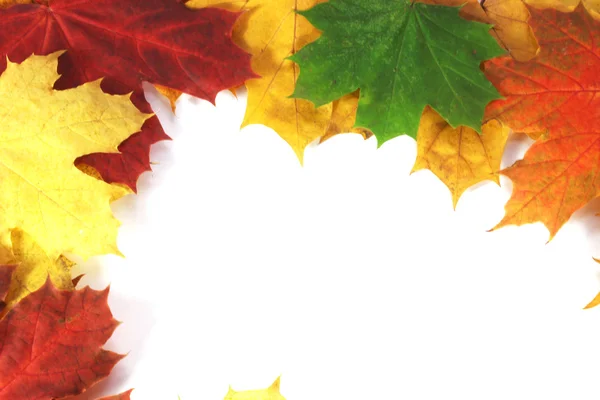 Moldura de outono com folhas — Fotografia de Stock