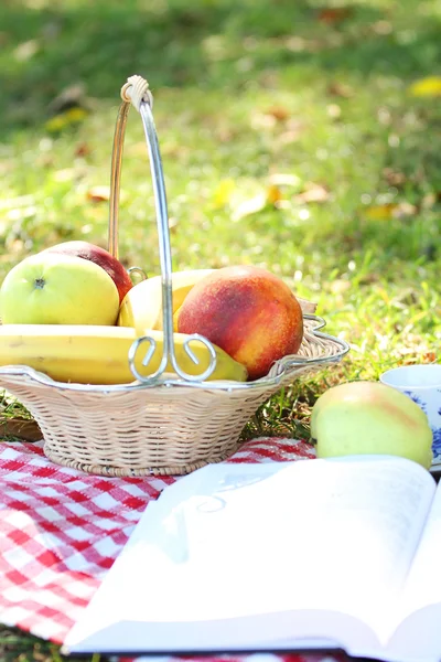 Ovoce venku na pikniku — Stock fotografie