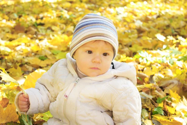A beautiful little girl in autumn park — Stock Photo, Image