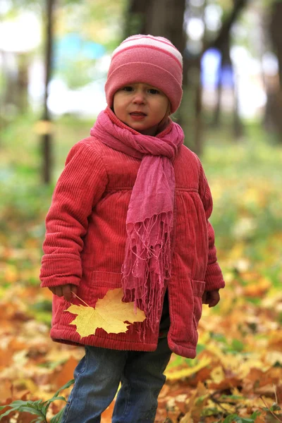 A beautiful little girl in autumn park — Stock Photo, Image