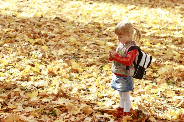 En vacker liten flicka i höst park — Stockfoto