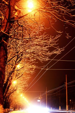 ağaçlar ve gece kış yol