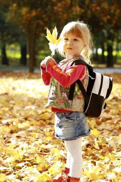 秋の森の美しい少女 — ストック写真