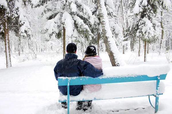 Casal no parque de inverno — Fotografia de Stock
