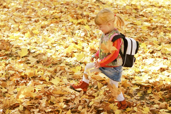 Beautiful little girl in the autumn forest — Stock Photo, Image