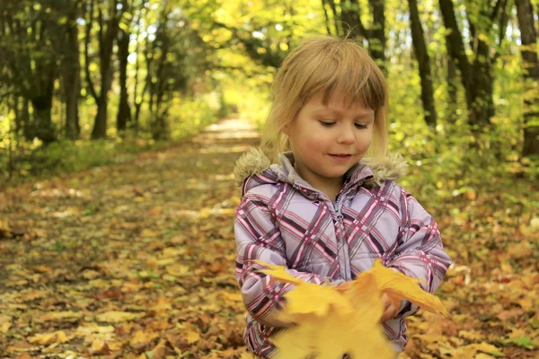 Gyönyörű kislány az őszi erdőben — Stock Fotó