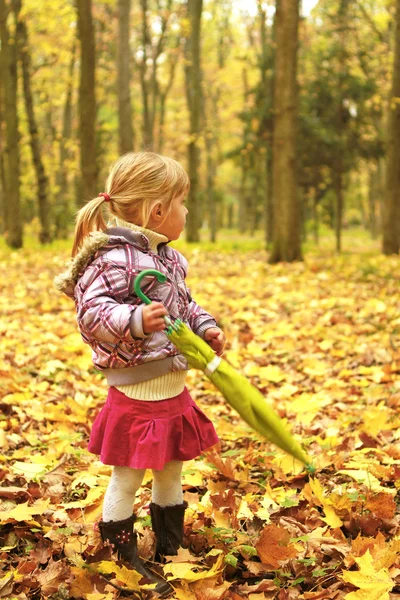 Menina bonita na floresta de outono com guarda-chuva — Fotografia de Stock