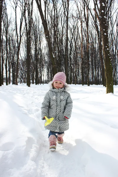 Beautiful little girl — Stock Photo, Image