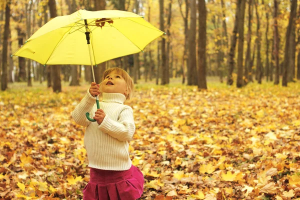 Beautiful little girl in the autumn forest with umbrella — Stock Photo, Image