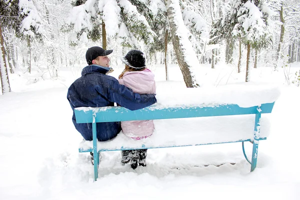 Koppel in winterpark — Stockfoto