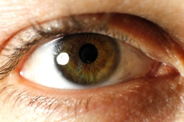 eye macro