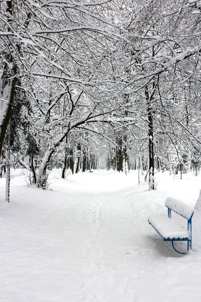 Bänk i snö — Stockfoto