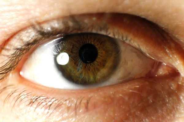 Eye macro — Stok fotoğraf