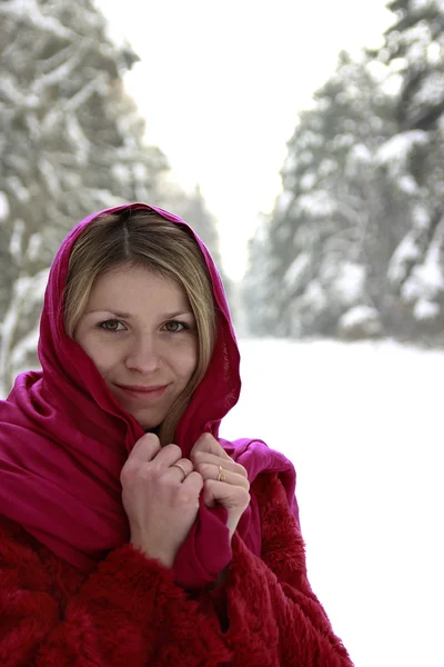 Flickan i vinter — Stockfoto