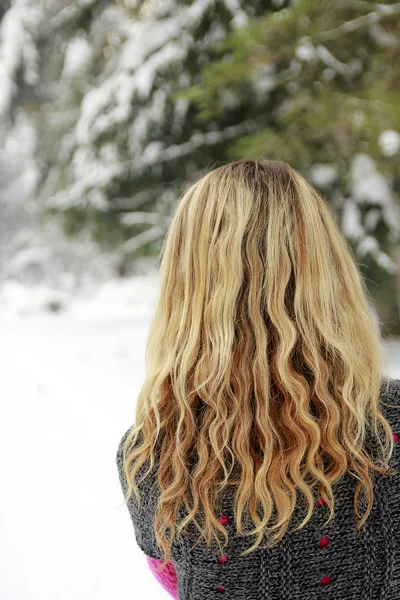 A menina no inverno — Fotografia de Stock