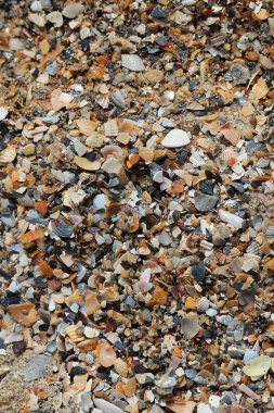 kum deniz kıyısında arka plan